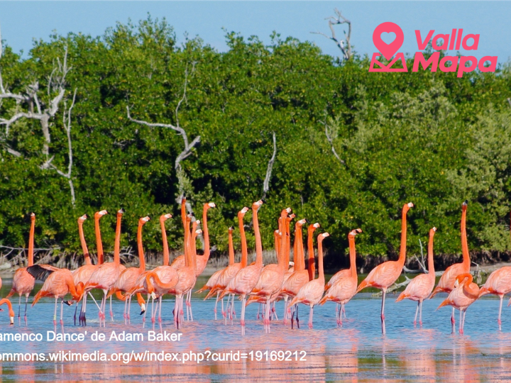 The natural reserve of Rio Lagartos