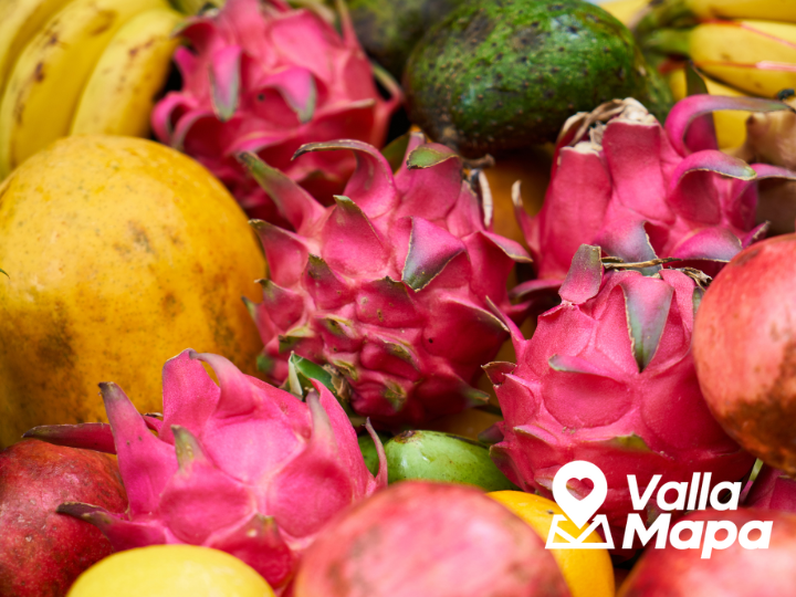 Fruits of the Yucatan