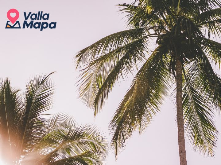 ¿Qué hacer en el verano en Valladolid?