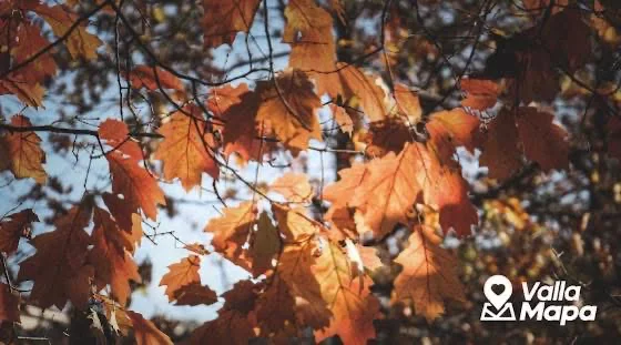 Autumn in Valladolid: Corners That Become Magical with the Change of Season